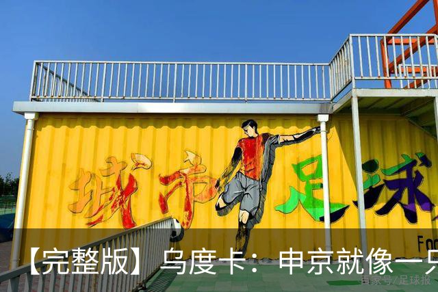 【完整版】乌度卡：申京就像一只斗牛犬 不在乎谁得分只要能赢球