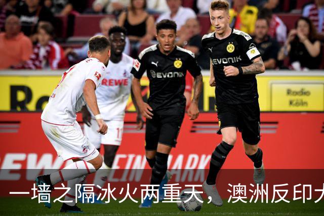 一墙之隔冰火两重天，澳洲反印大潮，给所有国家提了个醒
