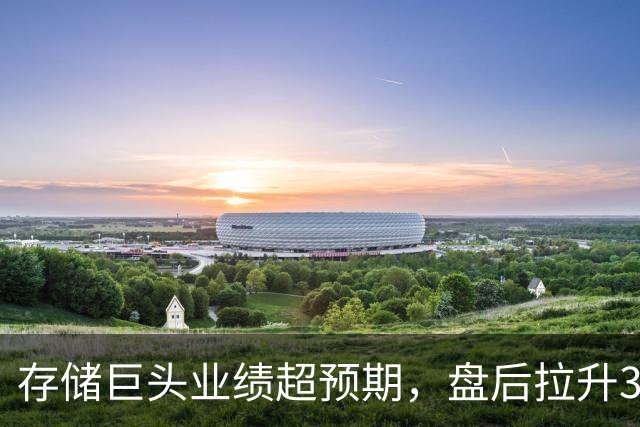 存储巨头业绩超预期，盘后拉升3%，称内存短缺将持续至2030年