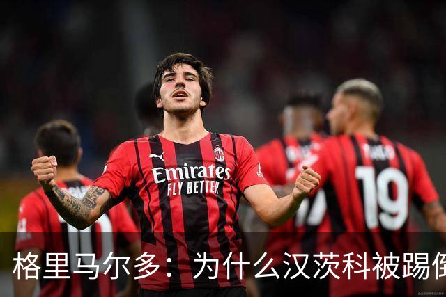 格里马尔多：为什么汉茨科被踢倒但VAR没介入？我们需要一个解释