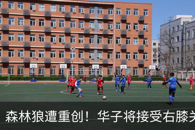 森林狼遭重创！华子将接受右膝关节镜手术 或休两个月再次无缘评奖