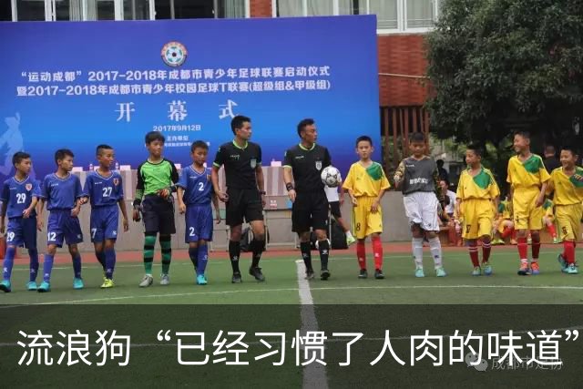 流浪狗“已经习惯了人肉的味道”